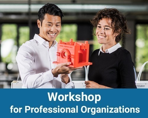 3D Printing Workshop for Professional Organizations